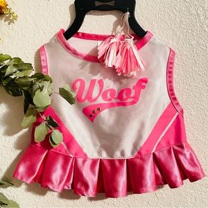 Doggie cheer outfit!